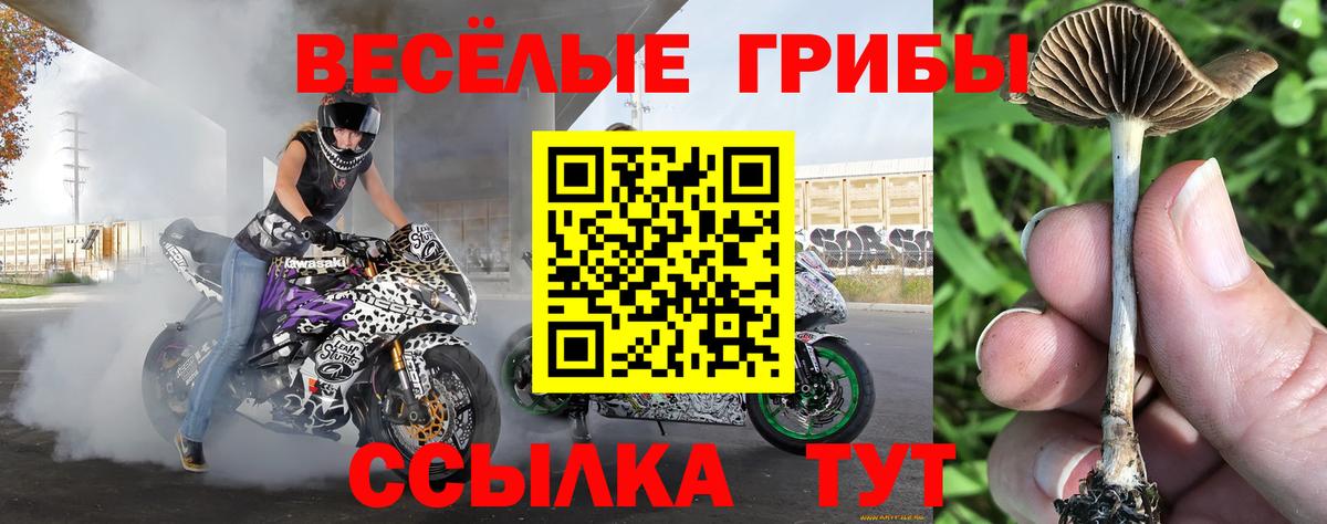 Псилоцибиновые грибы мицелий  Вход с VPN  Татарск 