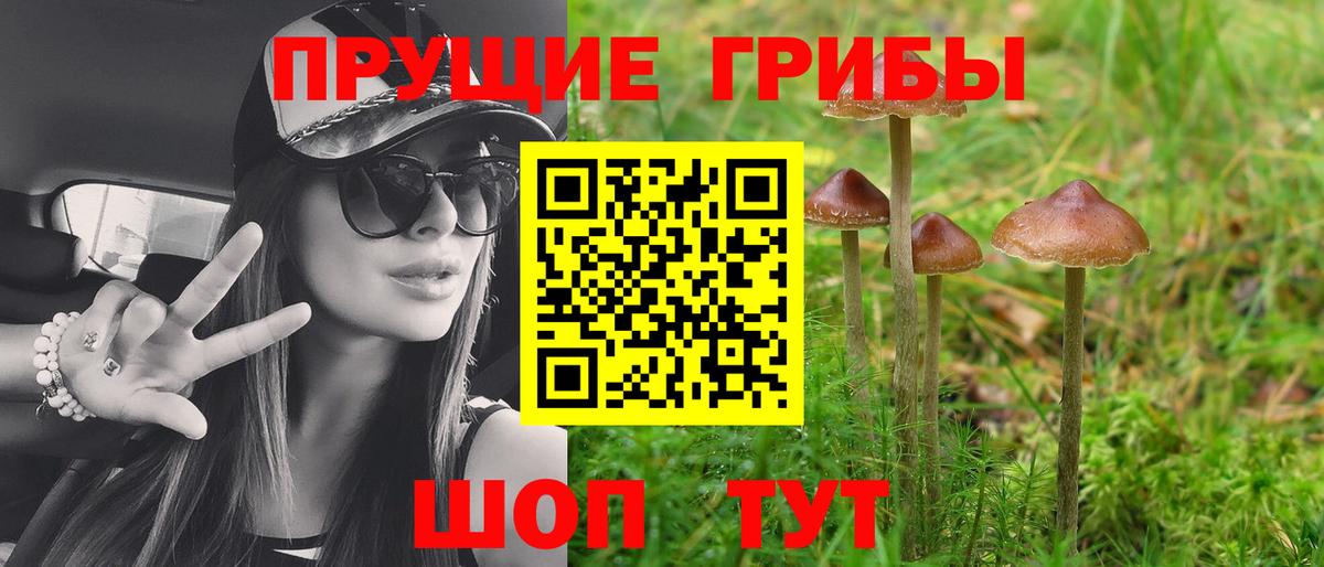 Псилоцибиновые грибы MAGIC MUSHROOMS Татарск